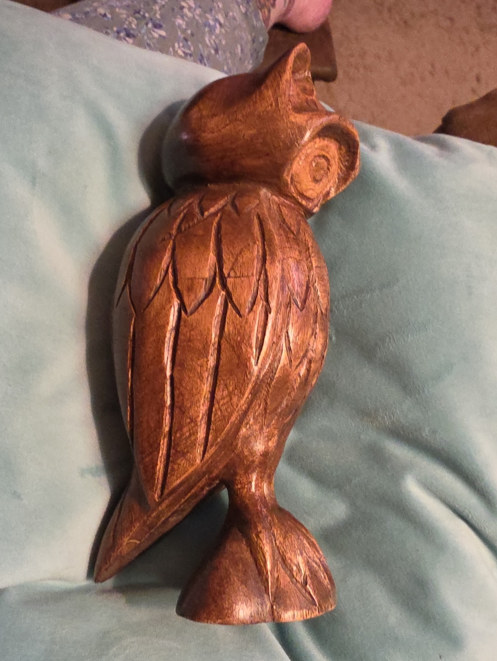 Owl - Picture 2 of 4